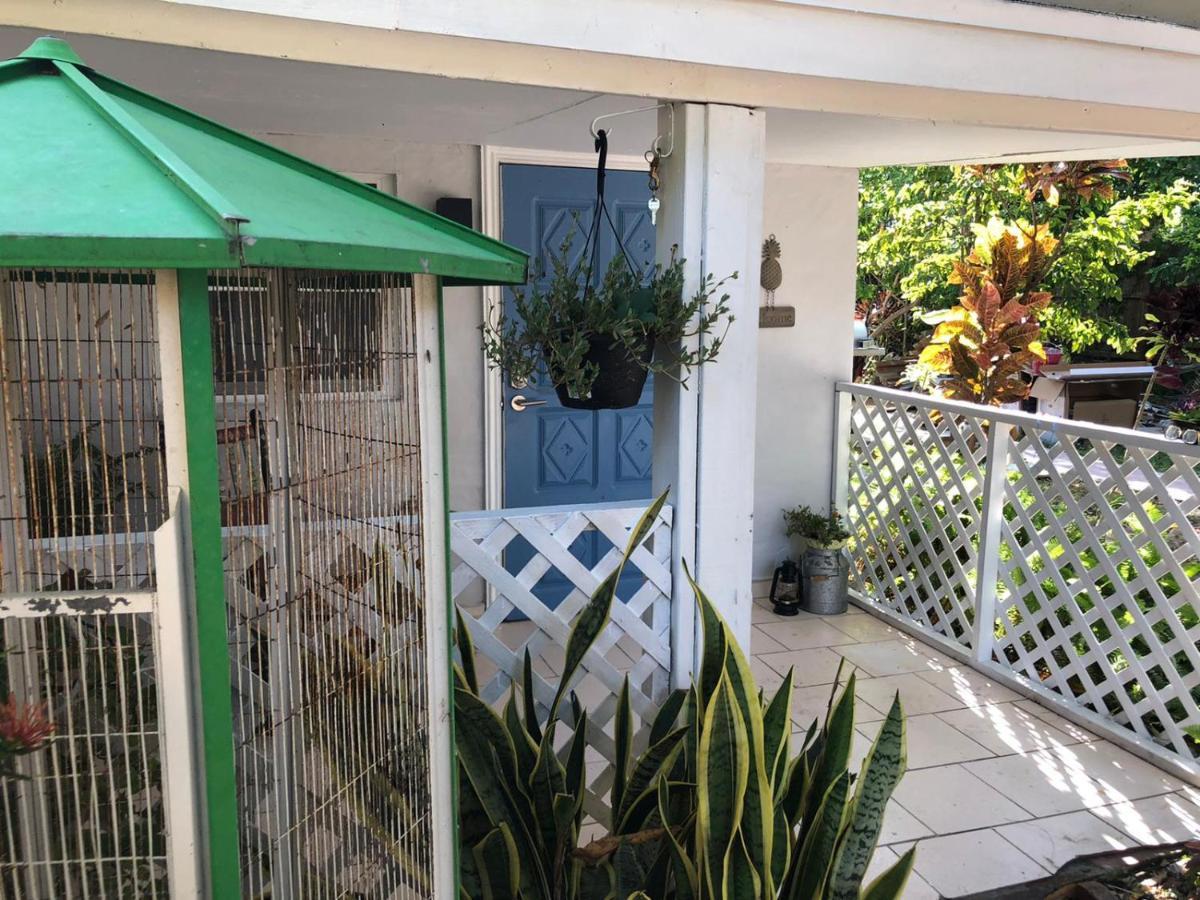 Independent Studio In Little Havana Miami Exterior foto