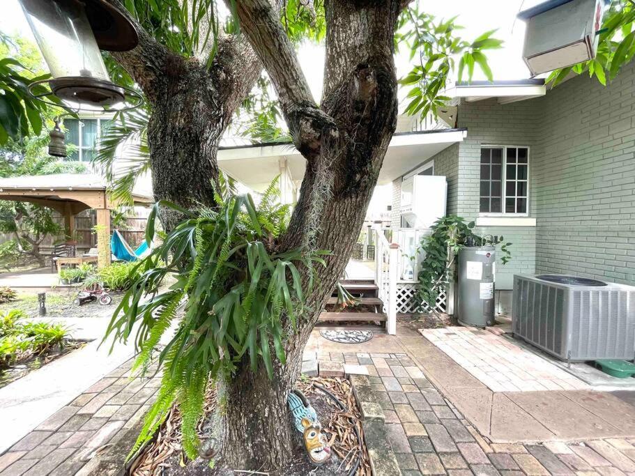 Independent Studio In Little Havana Miami Exterior foto